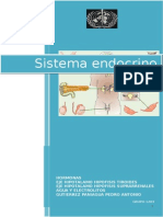 Guía Completa Sistema Endocrino