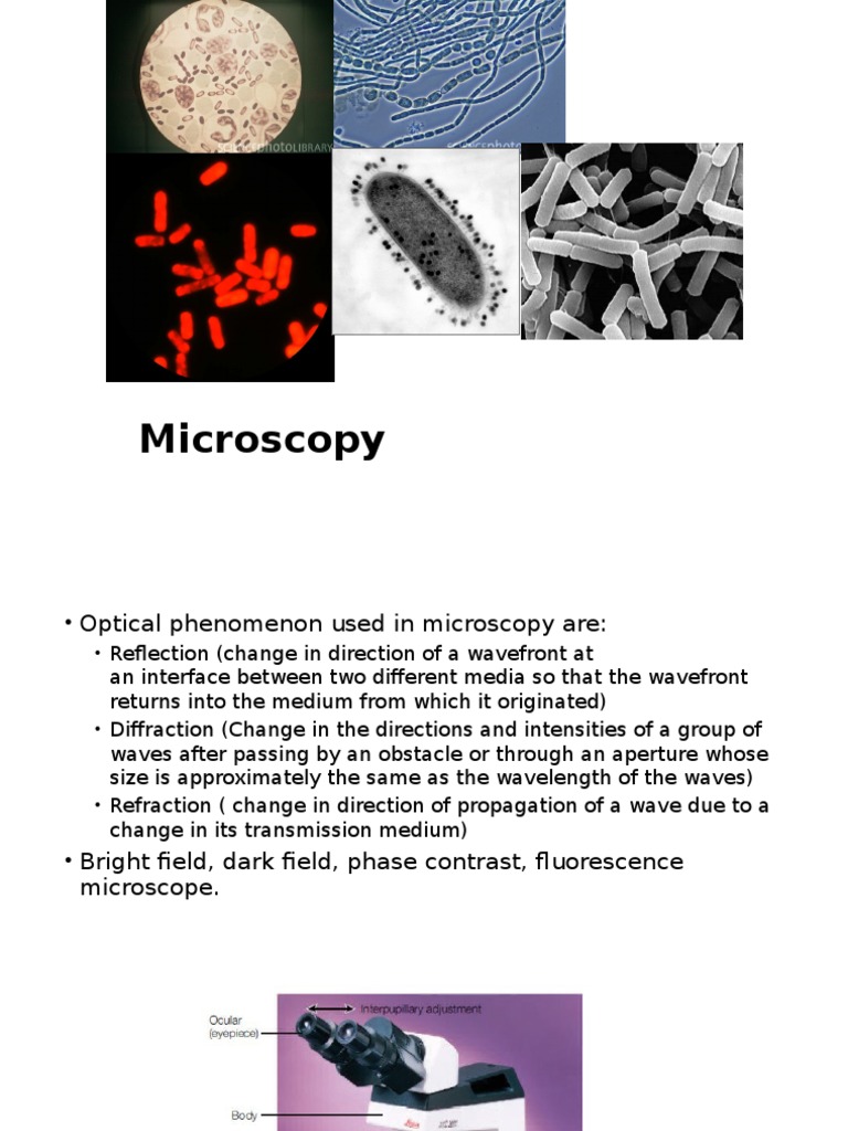 Microscopy Has Long Been Proven Fundamental