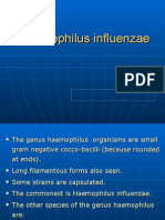 Haemophilus influenzae