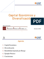 Capital Economico y Diversificacion - GNP Seguros
