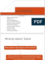 Fungsi Mineral