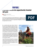 Forestal Curso