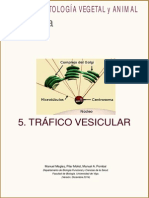 Atlas Celula 05 Trafico