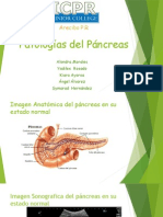 pancrea