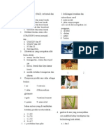 Soal Biologi SKL Nomor 21-40