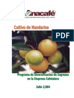 160257660-Cultivo-de-Mandarina.pdf