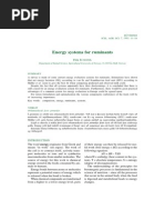 Energy Systems For Ruminants