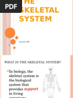 Overview of the Muscular System | PDF | Muscle | Skeletal Muscle