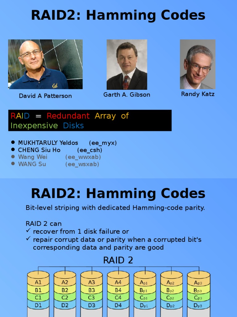 RAID2: Hamming Codes: D Disks | PDF | Teaching Methods & Materials ...