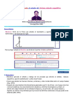 Biomecánica clínica aplicada.pdf