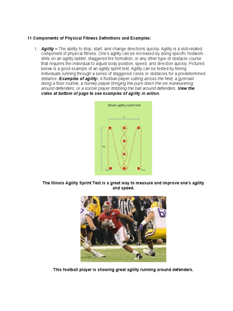 11 Components of Physical Fitness Definitions and Examples PDF