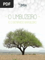 Umbuzeiro e Book