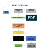 Metodo Cientifico