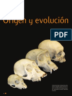 Evolucion en hominidos