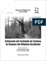 Informe de Carbono I 2004