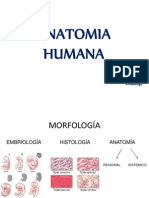 Generalidades Anatomicas y Su Posicion