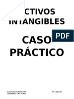 Activos Intangibles