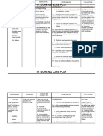 Ix. Nursing Care Plan