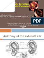 Foreign Body Ear