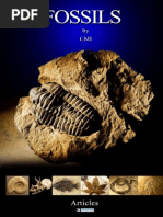 Download CMI - Fossils  by 7ett_ SN274444189 doc pdf