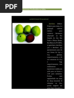 Principais Azeitonas Produzidas Na Itália