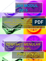 Modul Pms Minor DR Holy 2015