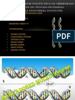 Marcadores Moleculares SNP S