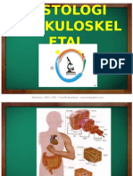 MUSKULOSKELETAL Histologi
