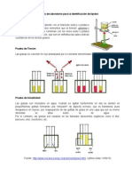 Pruebas de Laboratorio Para La Identificación de Lípidos v2