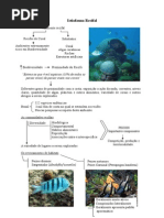 Ictiofauna Recifal - transparências.doc