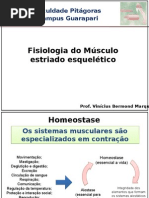 Aula - Músculo Esquelético Resumida