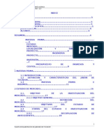 Elaboracion de Jabon de Tocador Ind 217