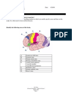 Adv Acu Tech 1 - Exam 1 Study Notes