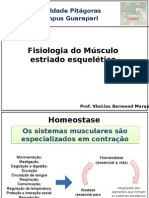 Fisiologia do músculo esquelético e suas funções
