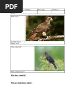 Download Vertebrate Zoology by mckenney SN2745184 doc pdf