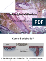 Tecido Epitelial Glandular