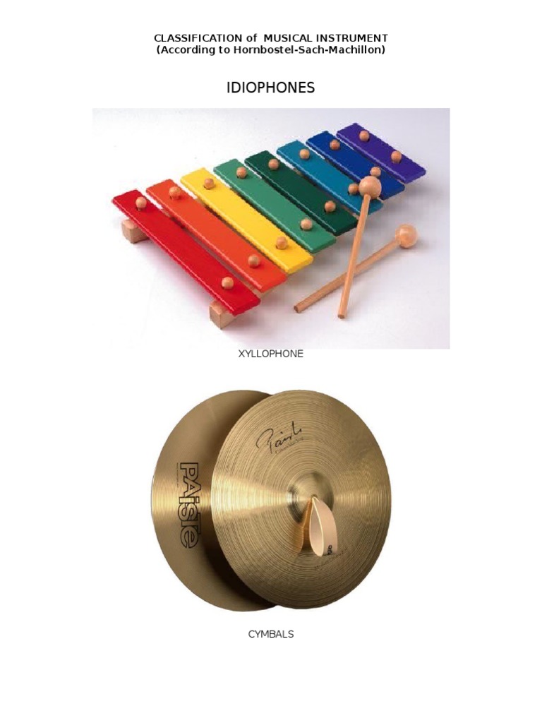 Musical Instrument Idiophones and Membranophones PDF