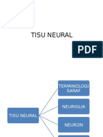 TISU NEURAL.pptx