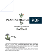 Aukanaw - La Ciencia Mapuche 5. Plantas Medicinales