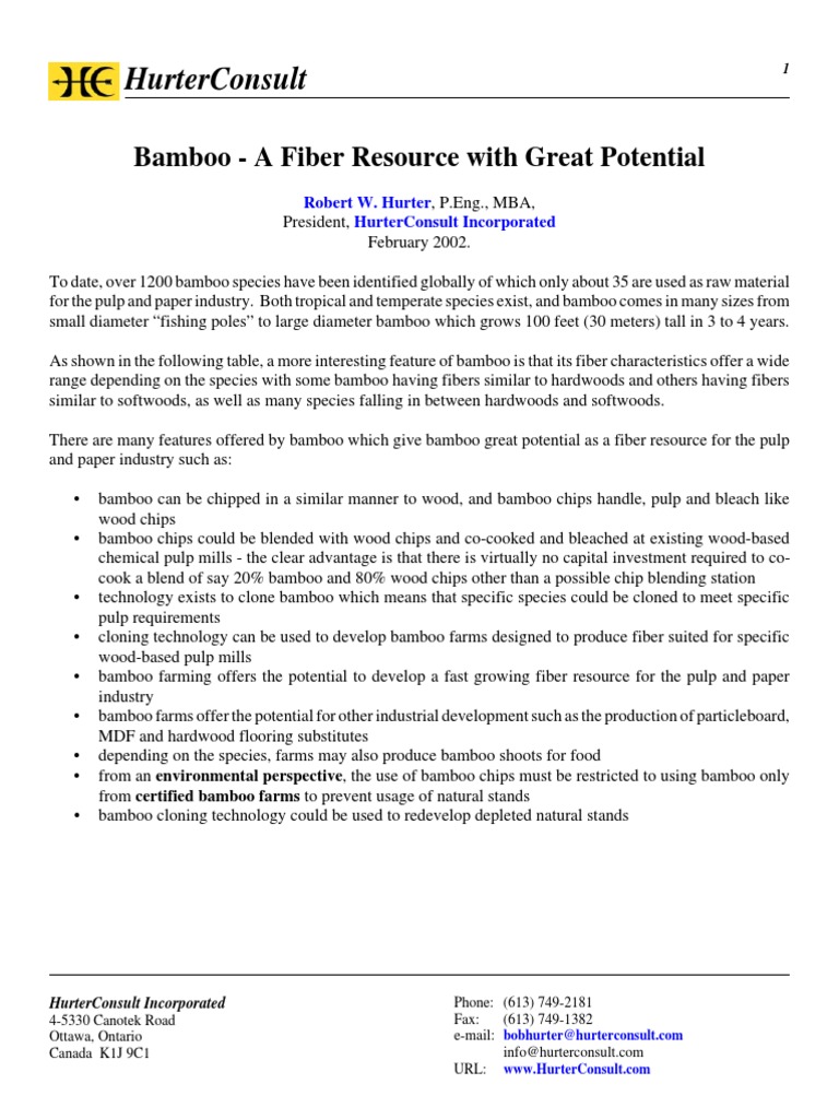 Bamboo Bamboo Pulp Paper - 