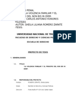 La Violencia Familiar y El Principio Del Non Bis in Idem