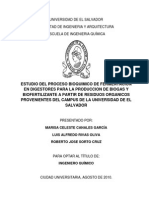 Estudio Del Proceso Bioquímico de Fermentación en Digestores Para La Producción de Biogas y Biofertilizante