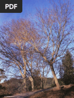 Convento de São Paulo