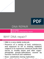 DNA Repair