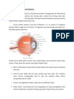 Anatomi Fisiologi Mata