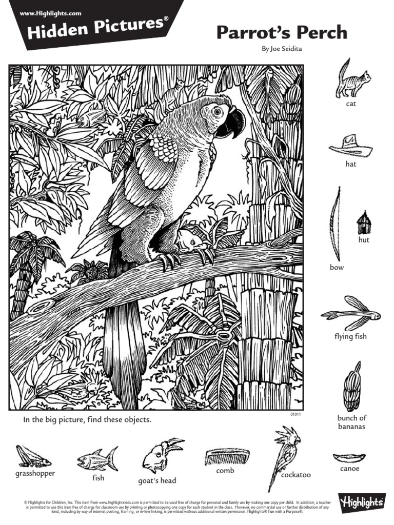Hidden Pictures | PDF