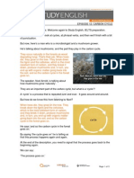 The Carbon Cycle Explained