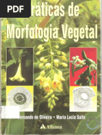 Praticas de Morfologia Vegetal.