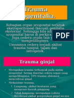 Trauma Urogenitalia