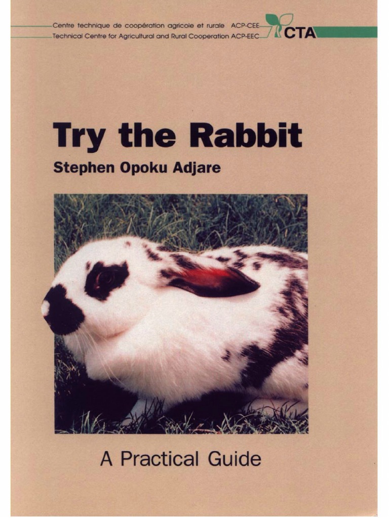 Rabbit PDF | PDF